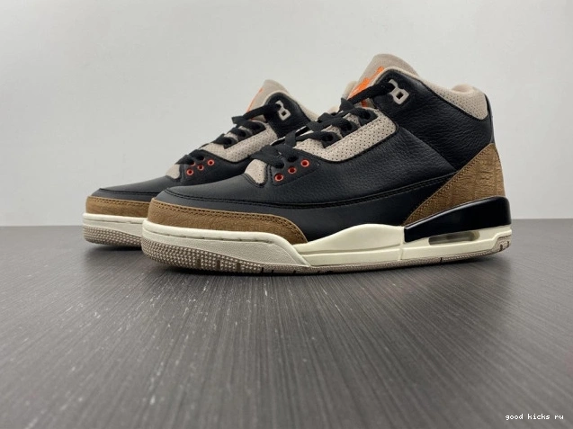 Elephant Desert Air Jordan CT8532-008 3 0709
